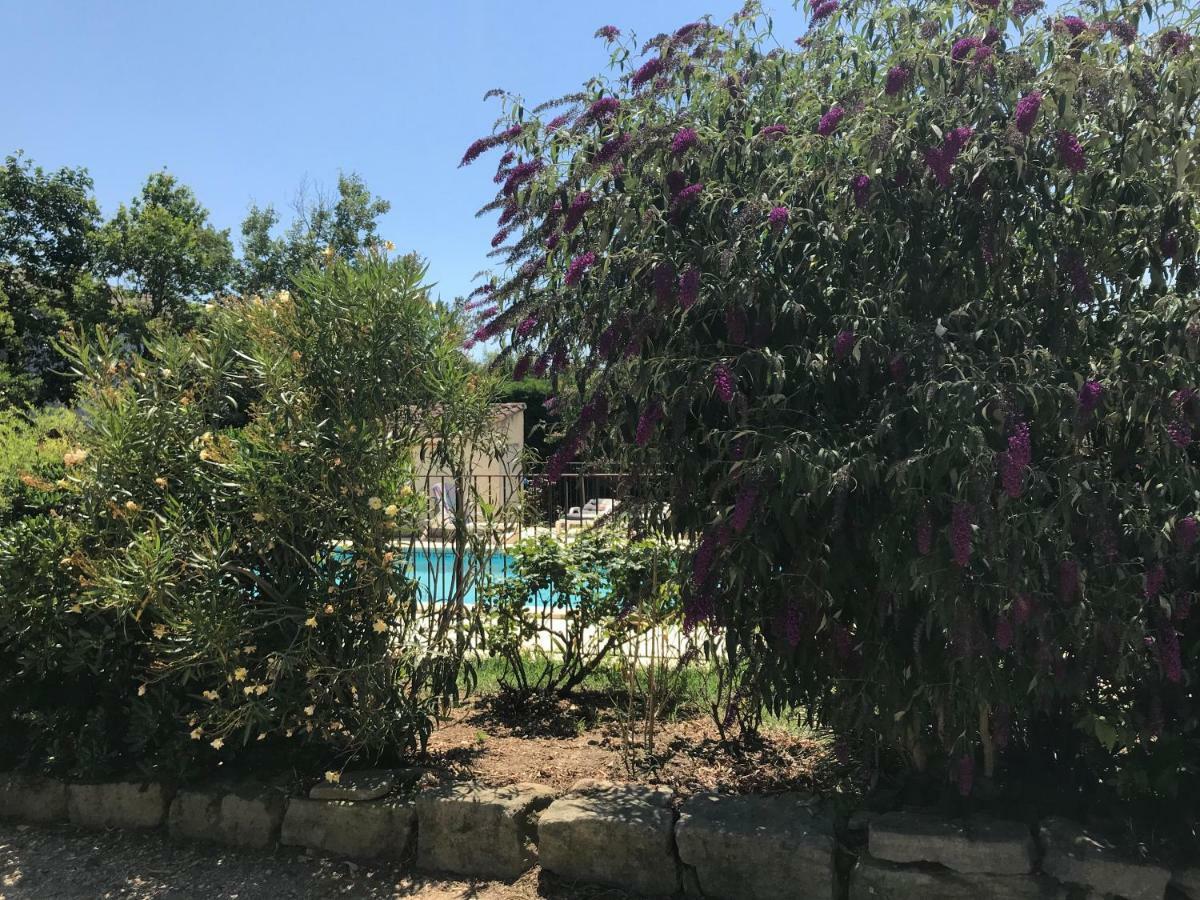 Les Buis Apartment Carpentras Ngoại thất bức ảnh