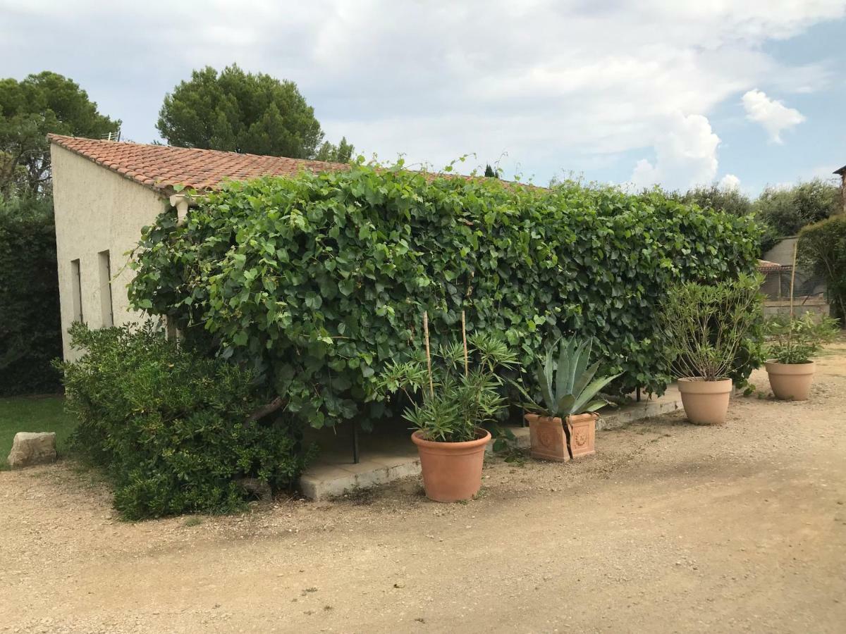 Les Buis Apartment Carpentras Ngoại thất bức ảnh