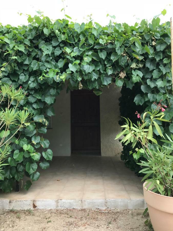 Les Buis Apartment Carpentras Ngoại thất bức ảnh